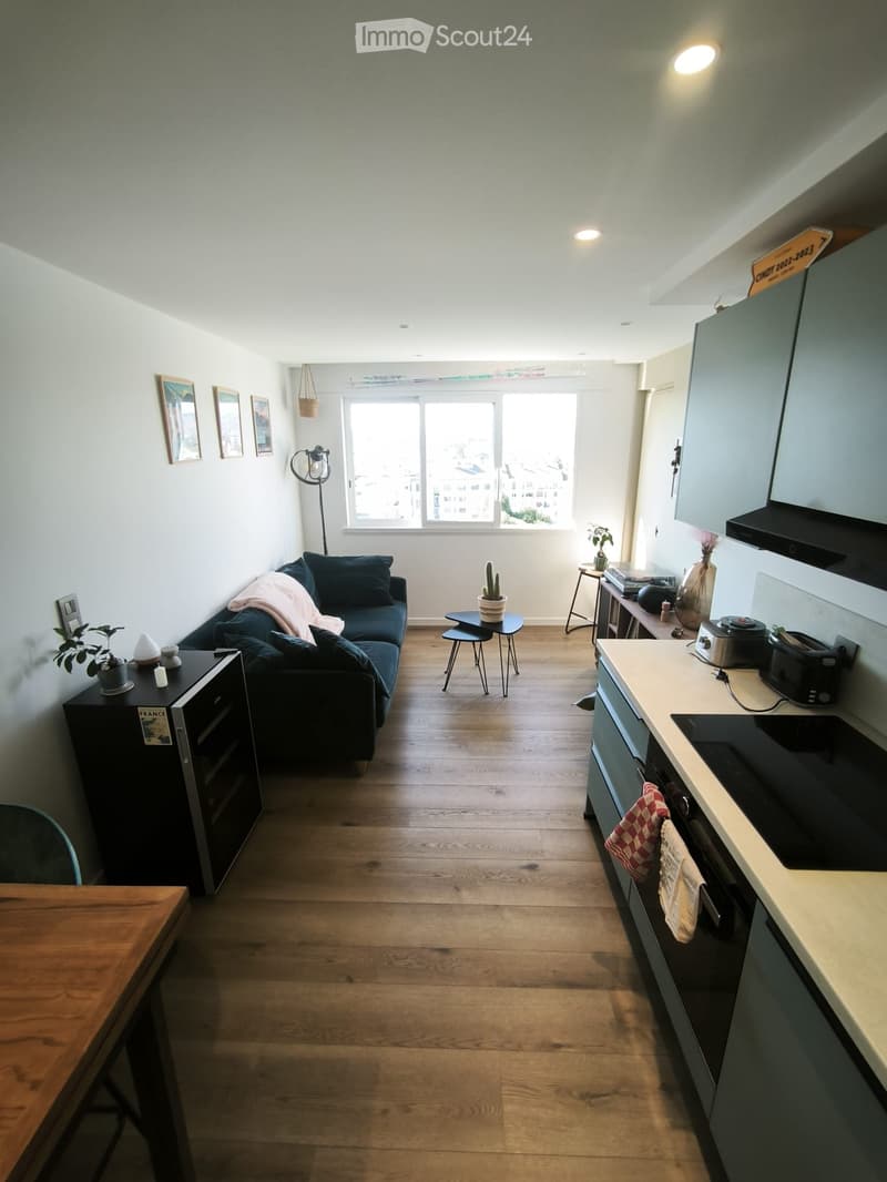 T2 Carré d'Or Annecy Appartement LUMINEUX VUE INCROYABLE (2)