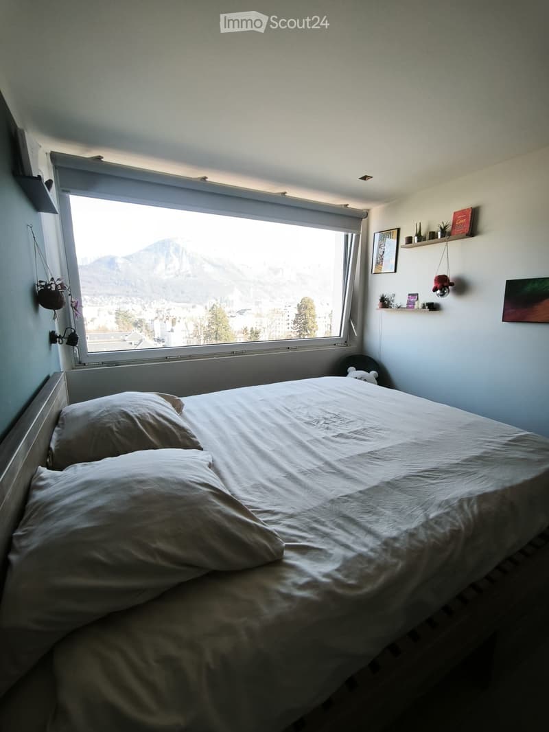 T2 Carré d'Or Annecy Appartement LUMINEUX VUE INCROYABLE (1)