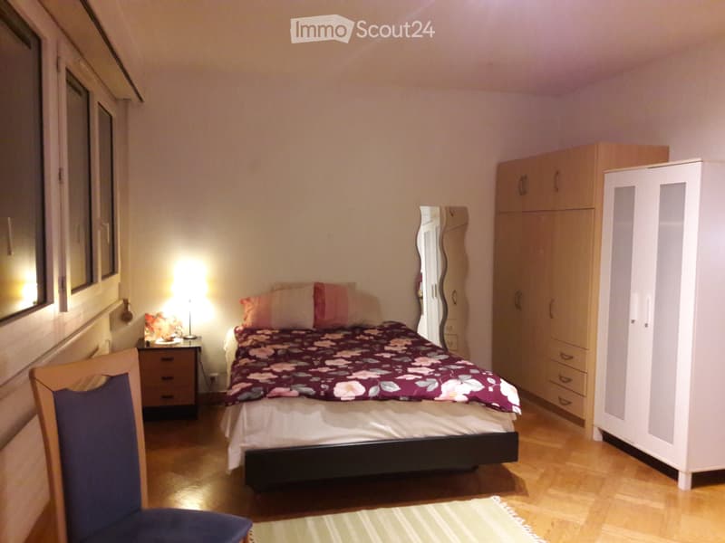 Lumineux et bel appartement meublé à sous-louer (3)