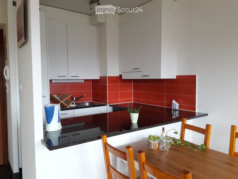 Lumineux et bel appartement meublé à sous-louer (5)