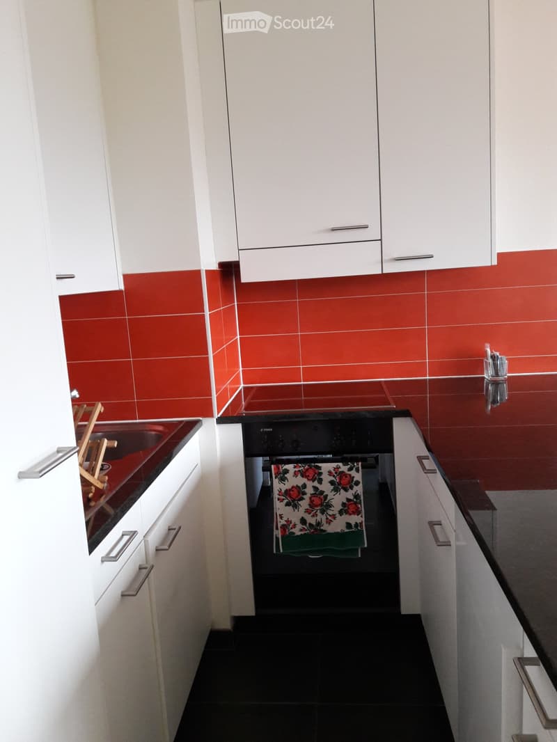 Lumineux et bel appartement meublé à sous-louer (4)