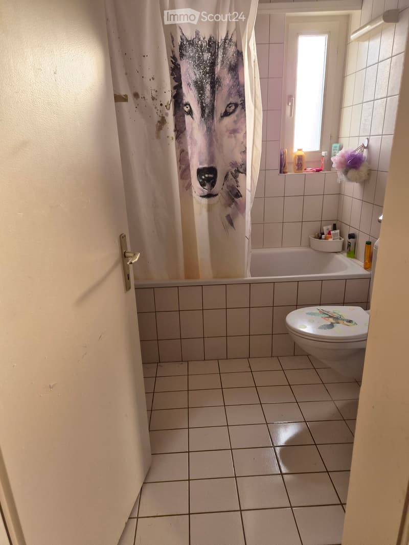 Appartement 4.5 pces (1)