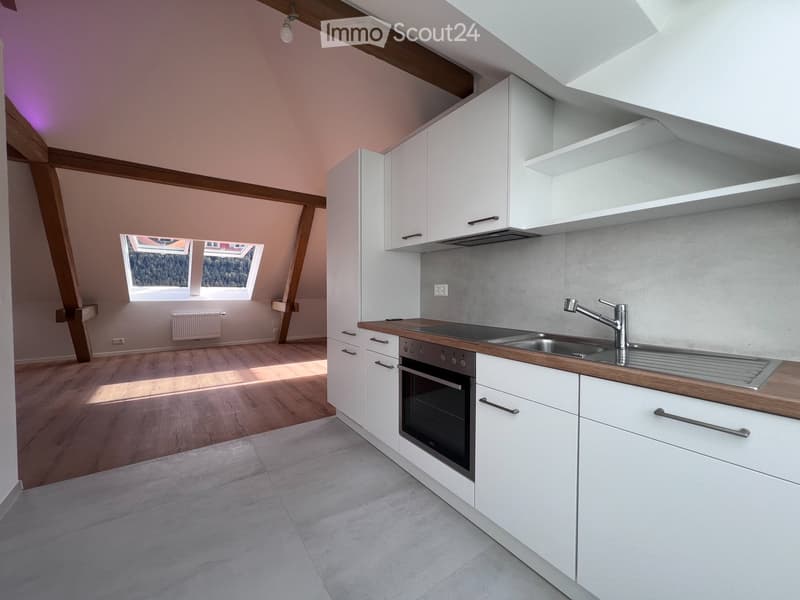 Magnifique appartement neuf - style loft - de 2,5 pièces (5)