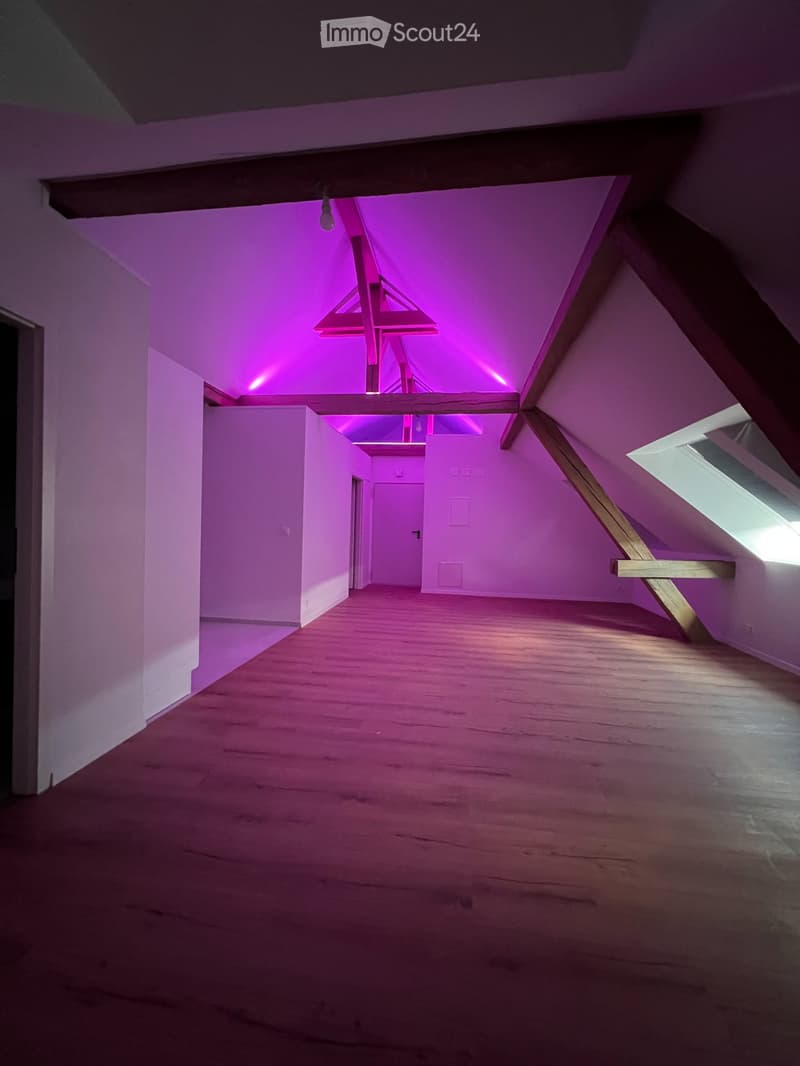 Magnifique appartement neuf - style loft - de 2,5 pièces (2)