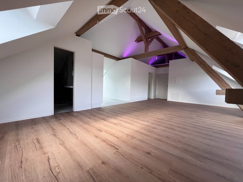 Magnifique appartement neuf - style loft - de 2,5 pièces (1)
