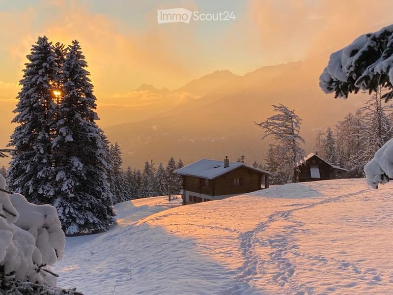 A louer cet hiver chalet meublé vue imprenable sur les Alpes (1)