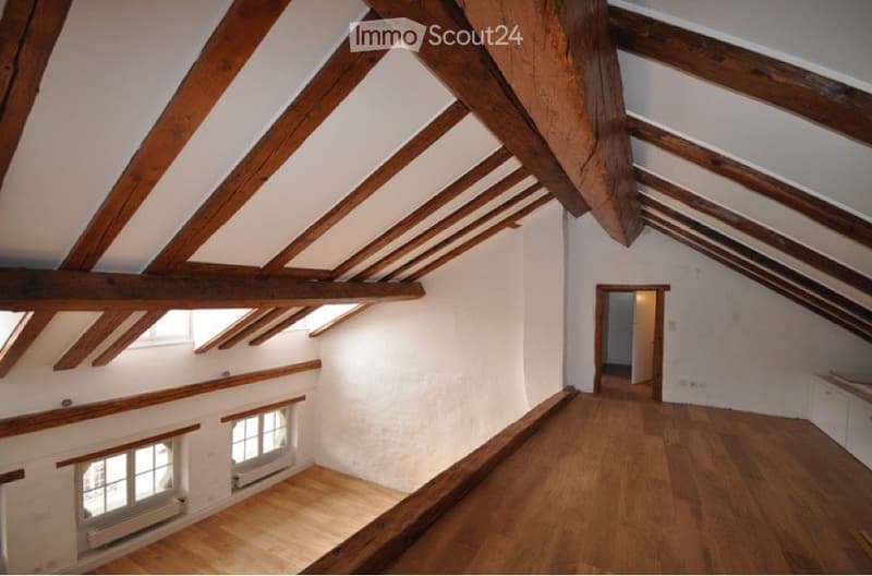 Vaste duplex de caractère Grand-Rue 56 (2)