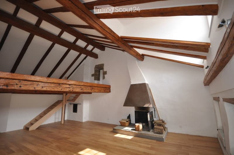 Vaste duplex de caractère Grand-Rue 56 (1)