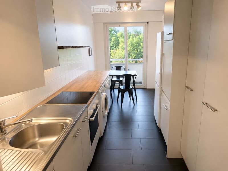 APPARTEMENT 4 PIÈCES À LOUER VERSOIX (5)
