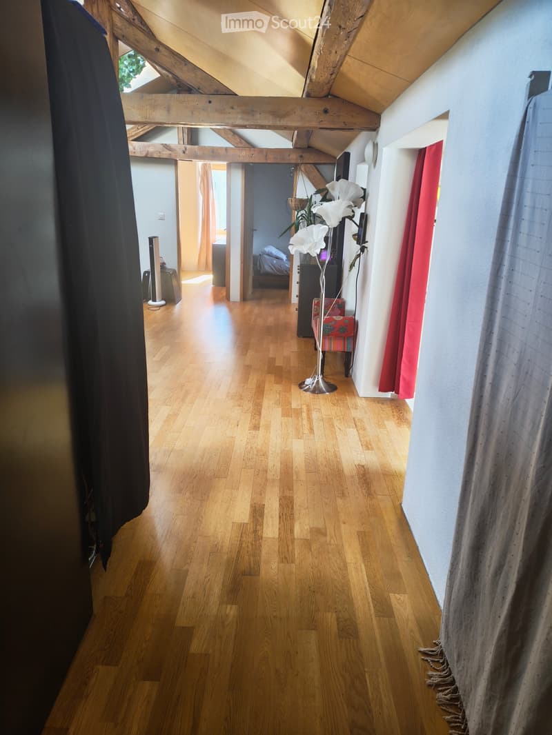 Appartement chaleureux et ensoleillé ! (1)