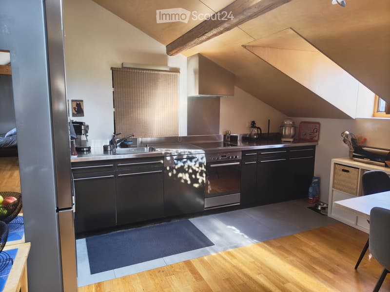 Appartement chaleureux et ensoleillé ! (4)