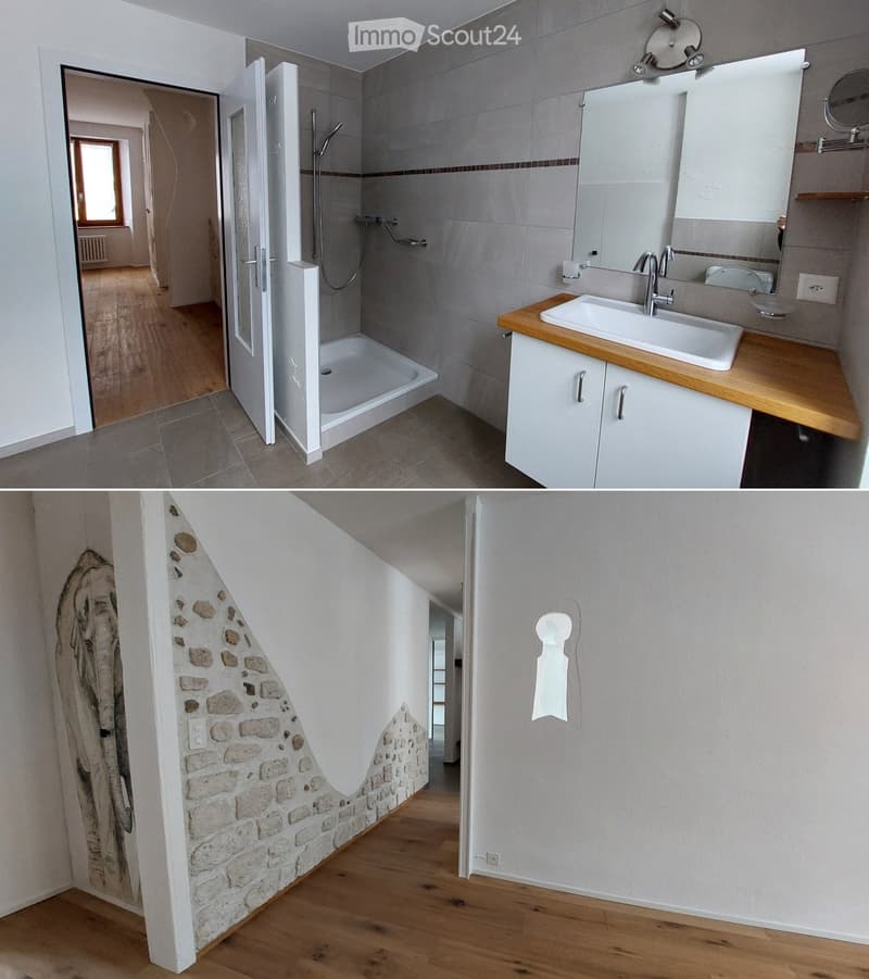 Le Locle, appartement 4,5pces (loft) (5)