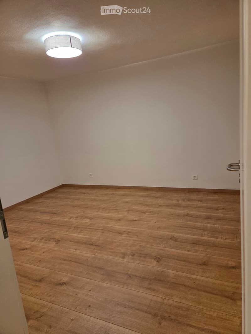Charmant appartement 2,5 pièces, avec pelouse (3)