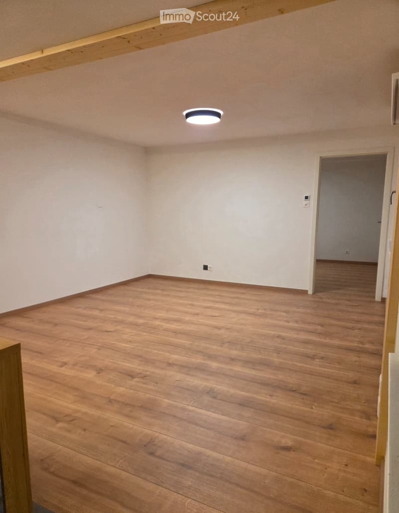 Charmant appartement 2,5 pièces, avec pelouse (2)