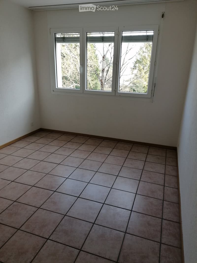 Appartement 5 pièces avec ascenseur et balcon (4)