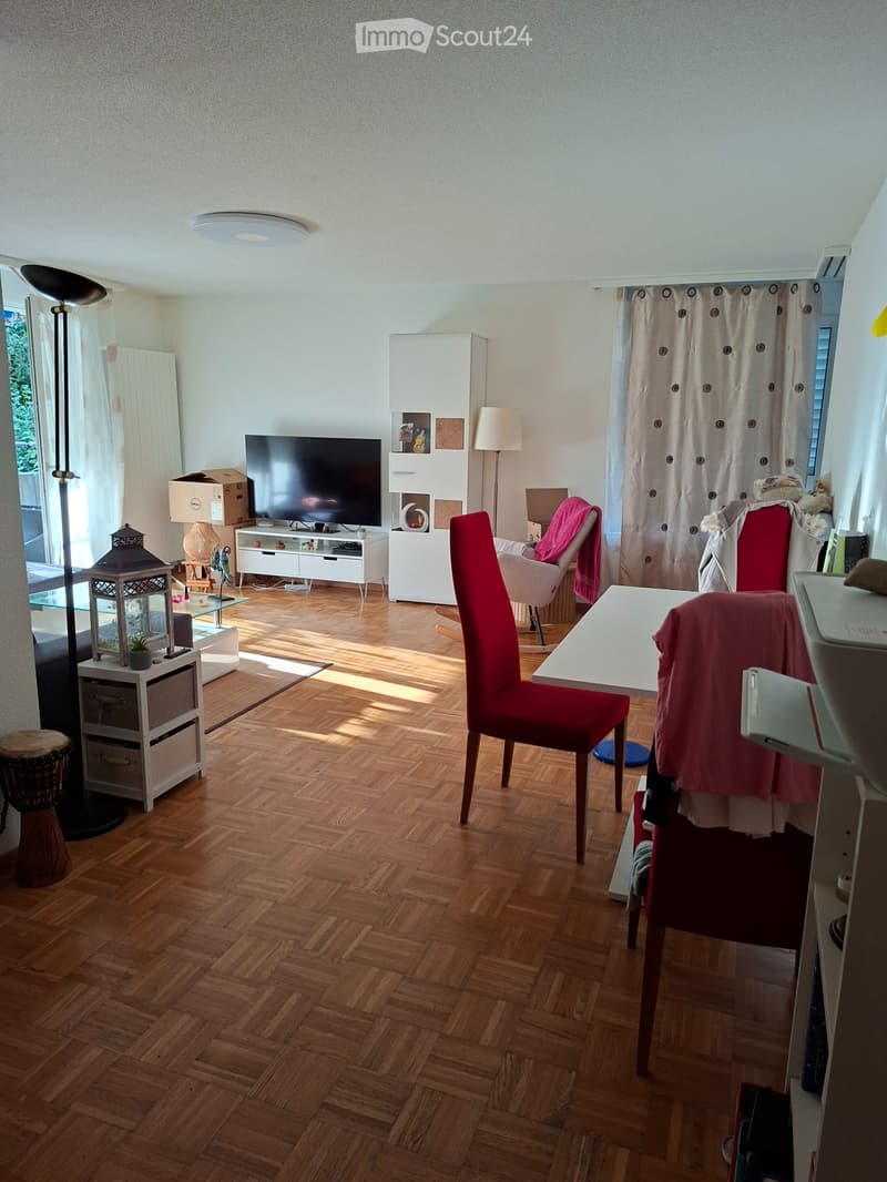 Urgent, magnifique 3pièces spacieux pour 1er octobre (1)