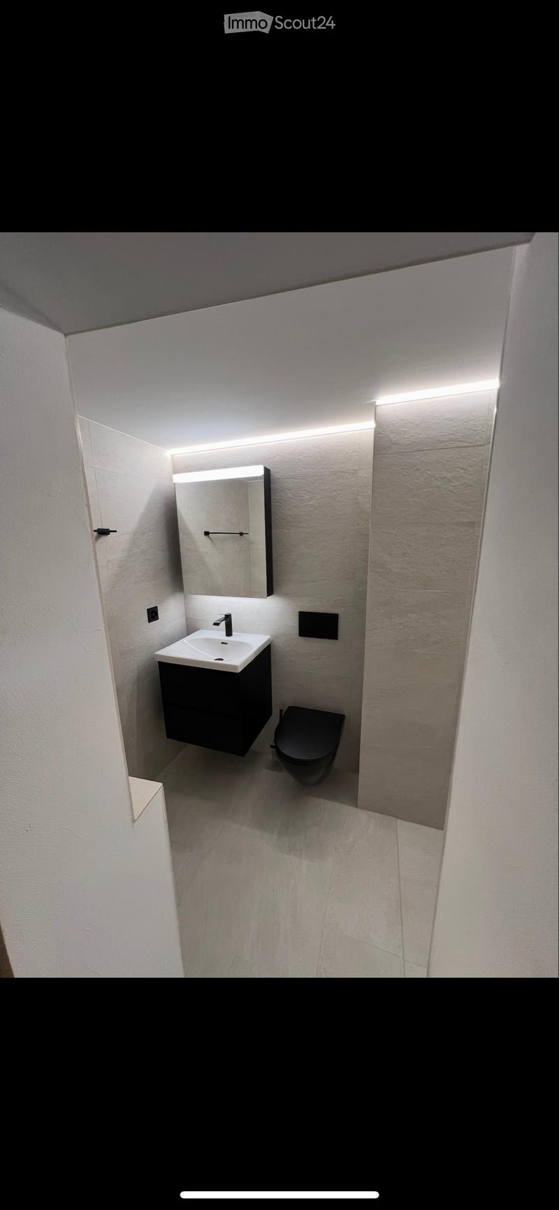 À louer magnifique appartement 4.5 pièces en duplex (3)