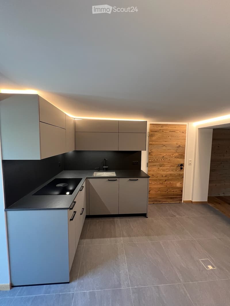 À louer magnifique appartement 4.5 pièces en duplex (1)