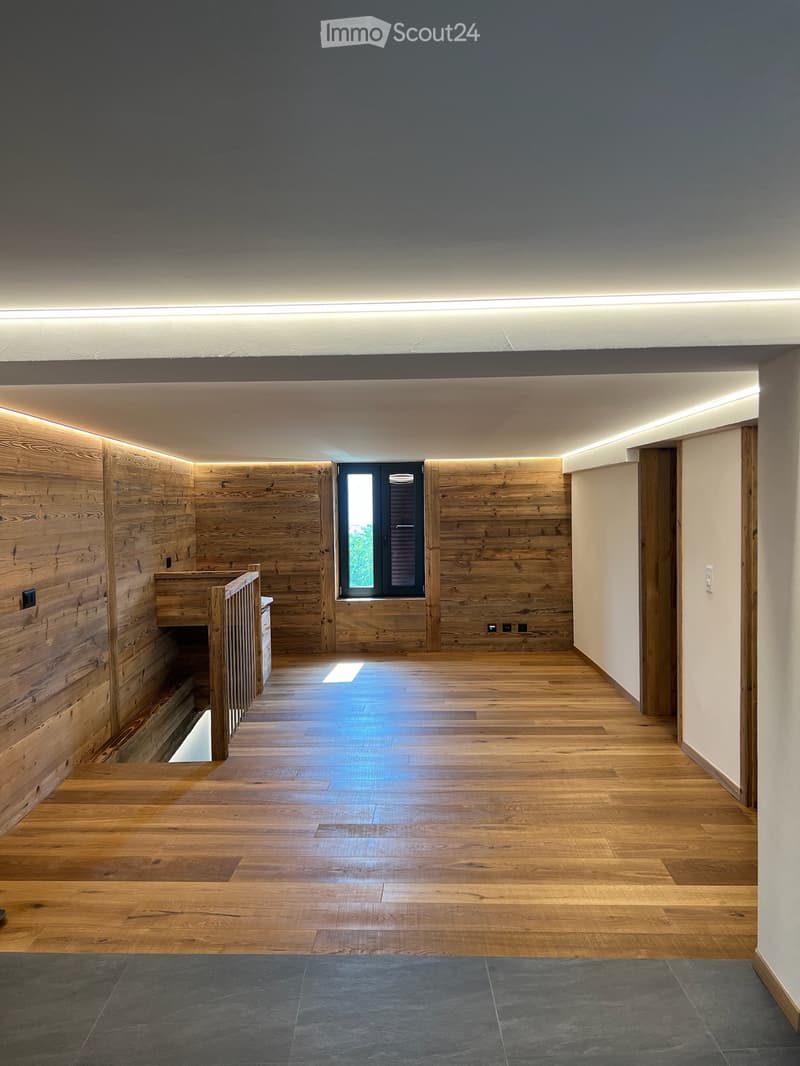 À louer magnifique appartement 4.5 pièces en duplex (2)
