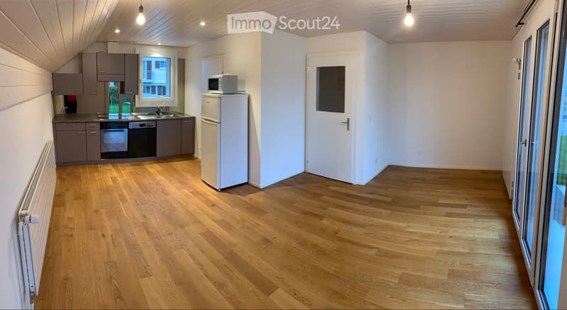 Studio avec terrasse, pièce de rangements et garage (1)