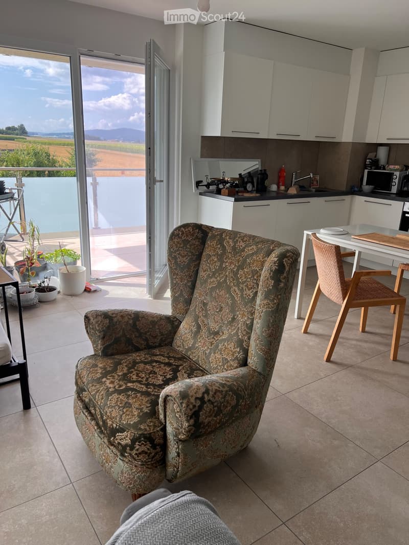 3,5 pcs moderne et équipe (1)