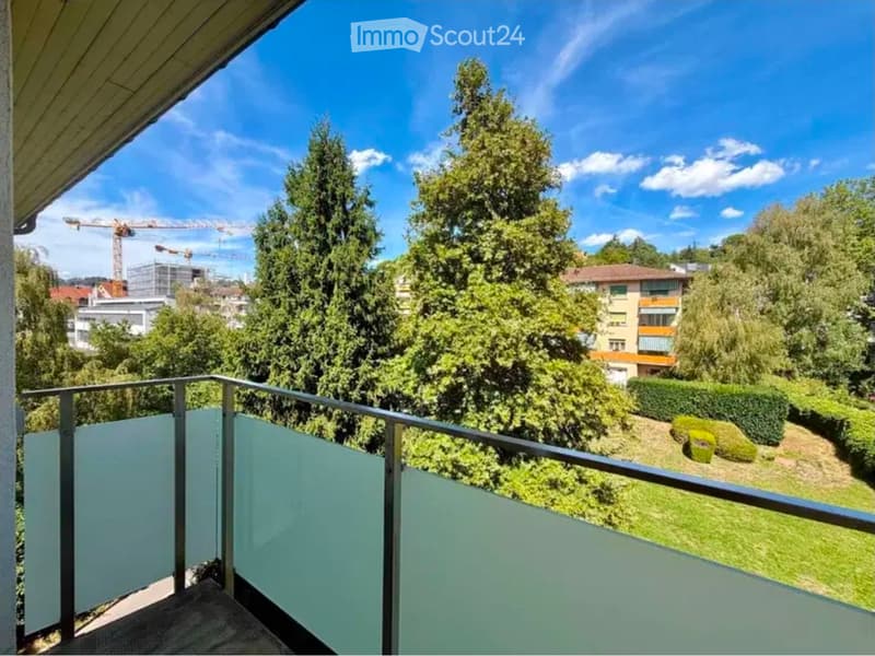 3,5 pièces rénové avec vue panoramique (1)