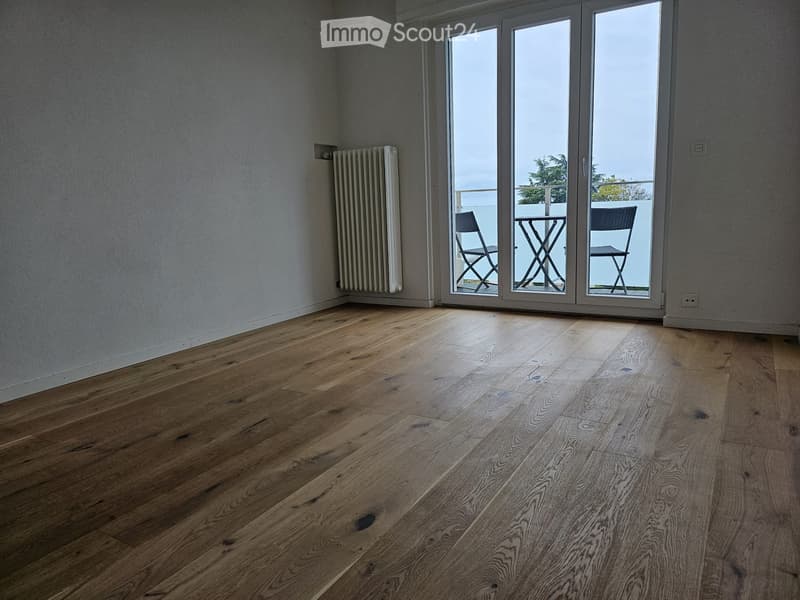 3,5 pièces rénové avec vue panoramique (5)