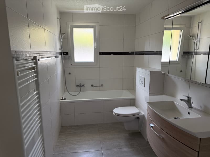 À louer appartement 3,5 pièces (11)