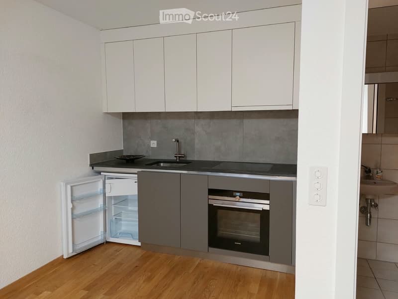 Studio à louer à Grône CHF 900. charges comprises (4)