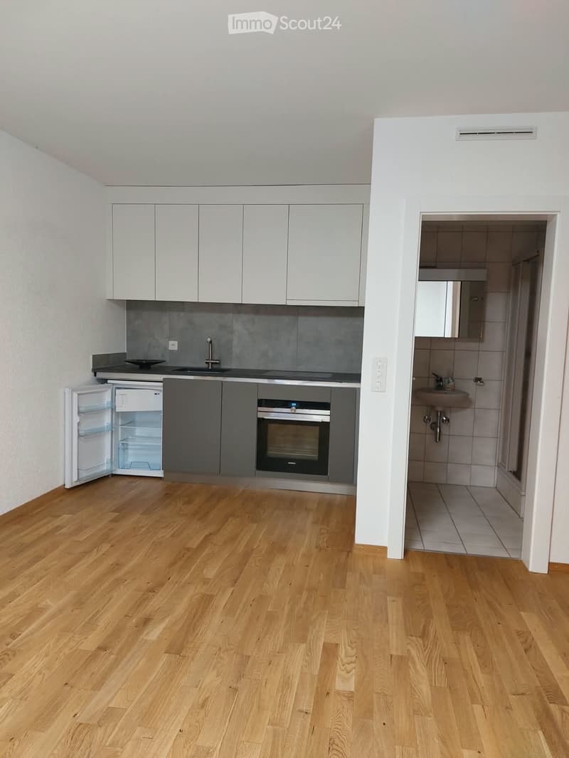 Studio à louer à Grône CHF 900. charges comprises (3)
