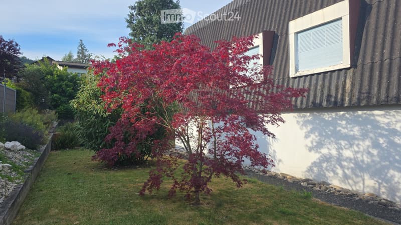 Villa avec grand jardin de 814 m² (3)
