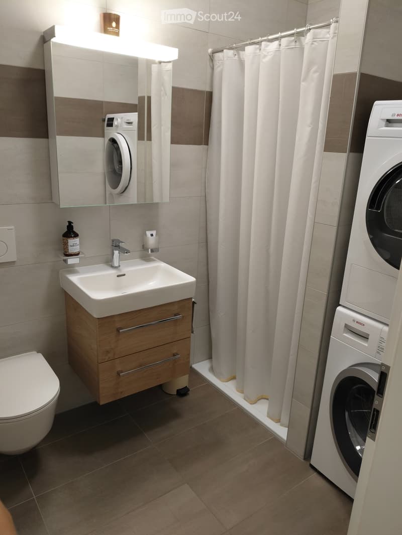 Appartement à louer 2.5 pièces (4)