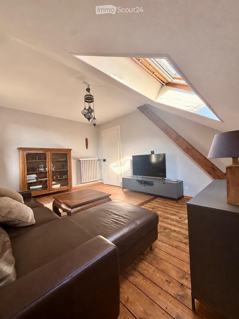 Meublé dans maison de Maître - durée déterminée (1)