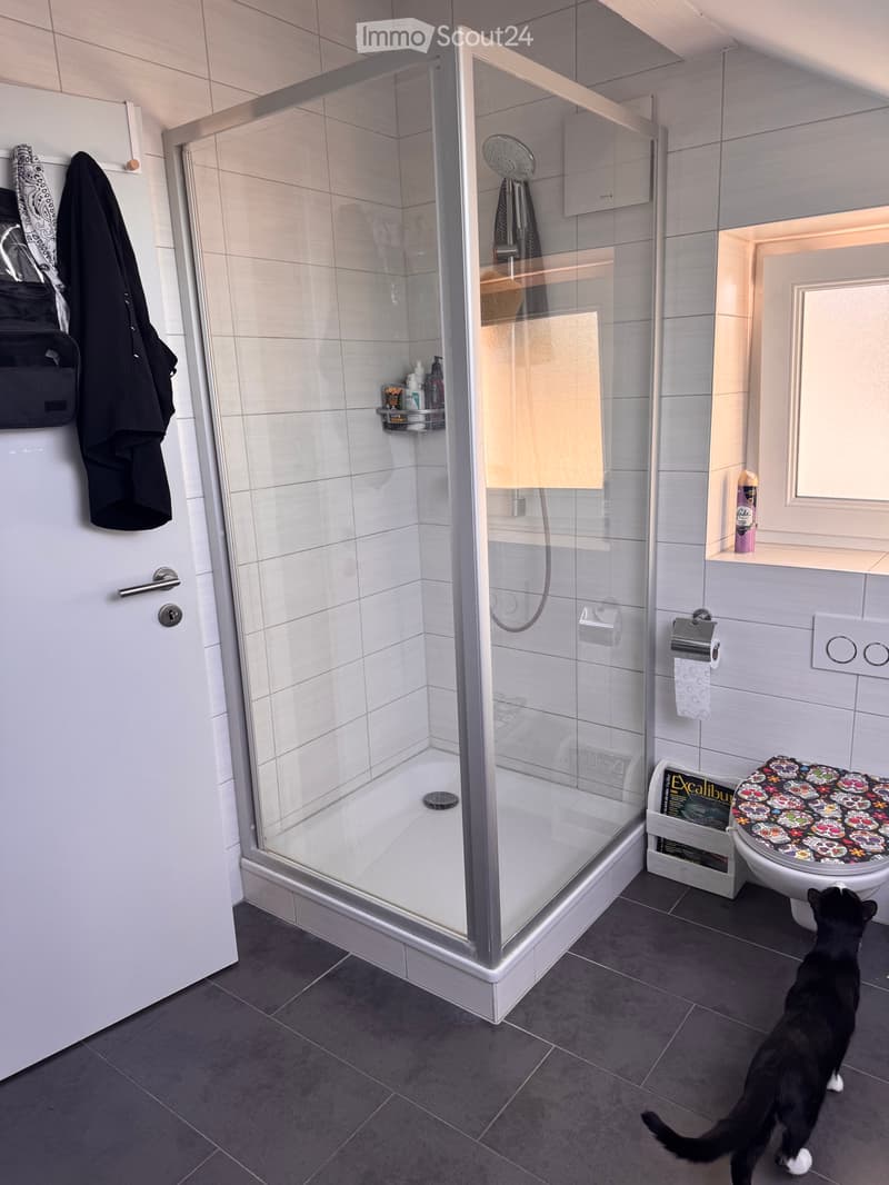 Bel appartement de 3.5 (5)