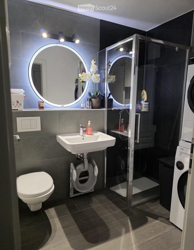 Appartement 4.5 (propriétaire privé) (5)