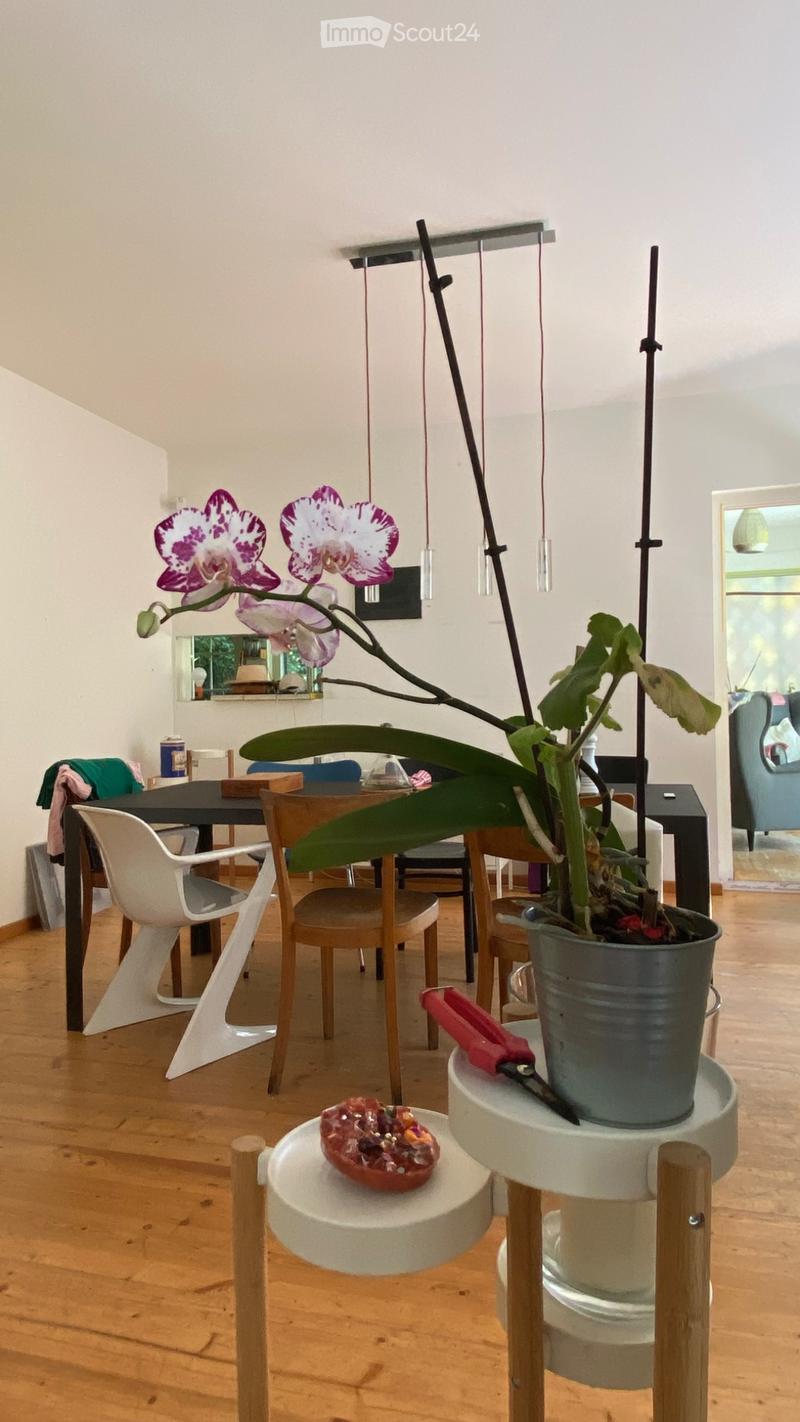 Voll möbliertes 7.5-Zimmer-Haus in Spiegel (2)