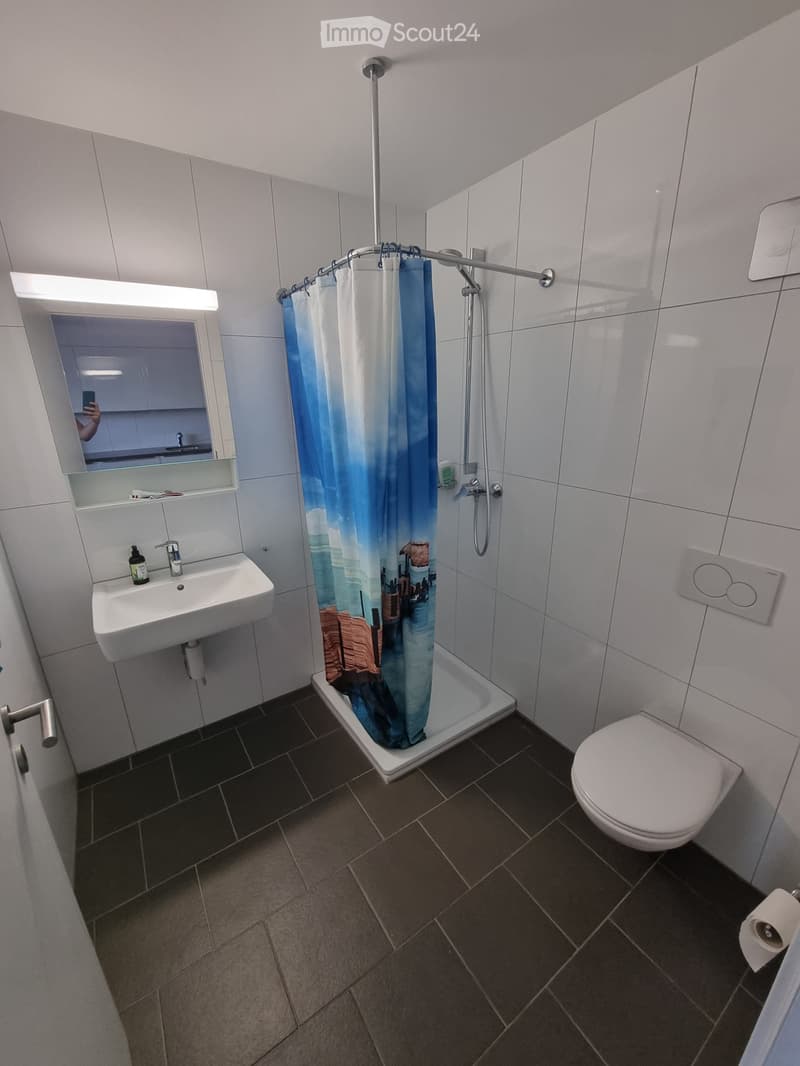 1.5 pièces, 31 m2, 3me étage (3)