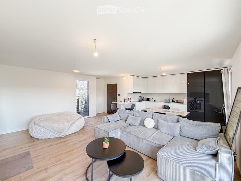 Appartement 4 pièces à louer à Plan-les-Ouates (2)