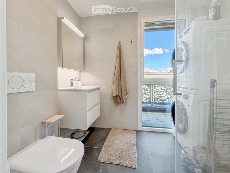 Appartement 4 pièces à louer à Plan-les-Ouates (4)