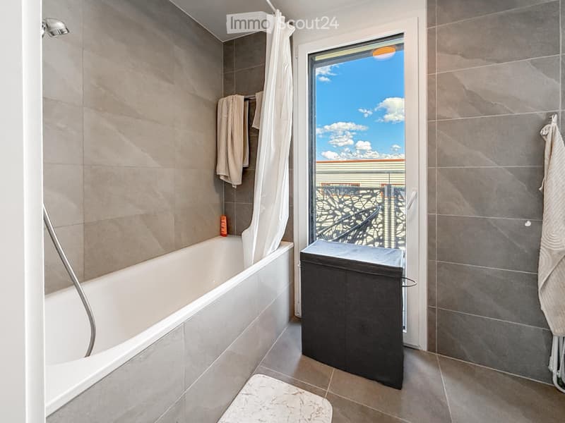 Appartement 4 pièces à louer à Plan-les-Ouates (3)