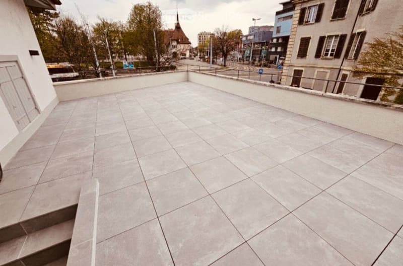 Superbe 3 pièces avec immense terrasse Chêne-Bourg (5)