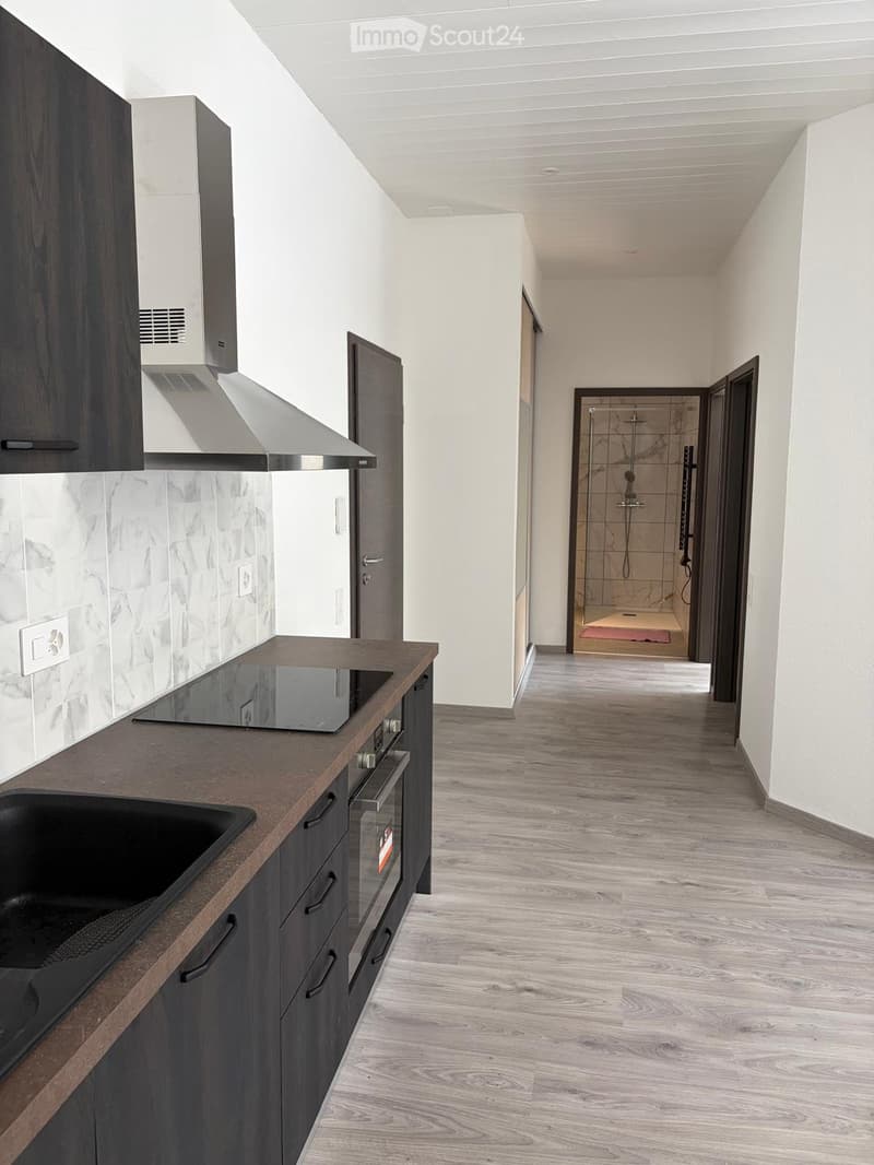 Appartement neuf (2)