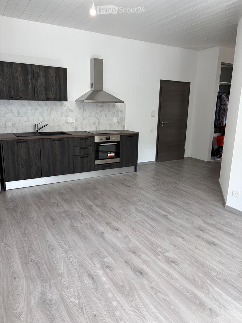 Appartement neuf (1)