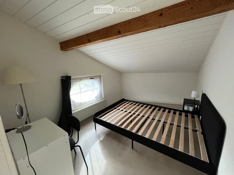 Grand appartement de 3,5 pièces avec mezzanine bien situé (3)