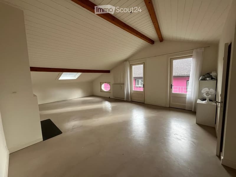 Grand appartement de 3,5 pièces avec mezzanine bien situé (1)