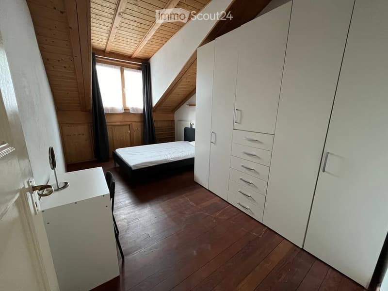 Grand appartement de 3,5 pièces avec mezzanine bien situé (2)