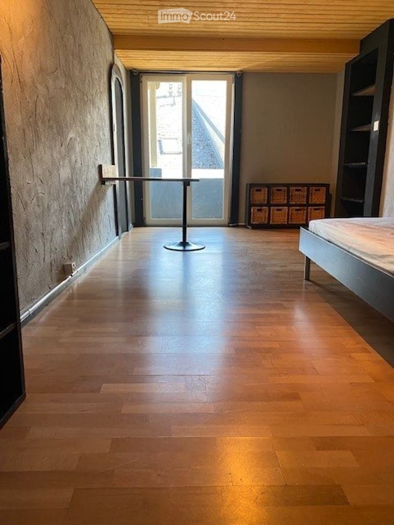Appartement de 1,5 pièces avec balcon (1)