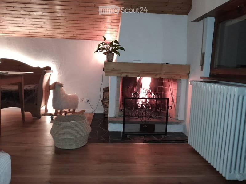 Furnished 2.5-room apartment for rent (2)