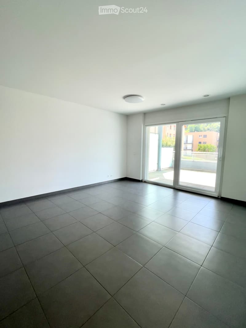 2.5 pièces avec grande terrasse (9)
