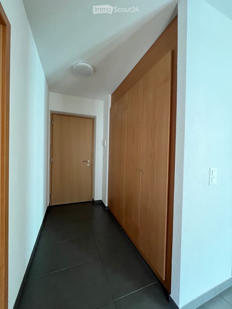 2.5 pièces avec grande terrasse (10)